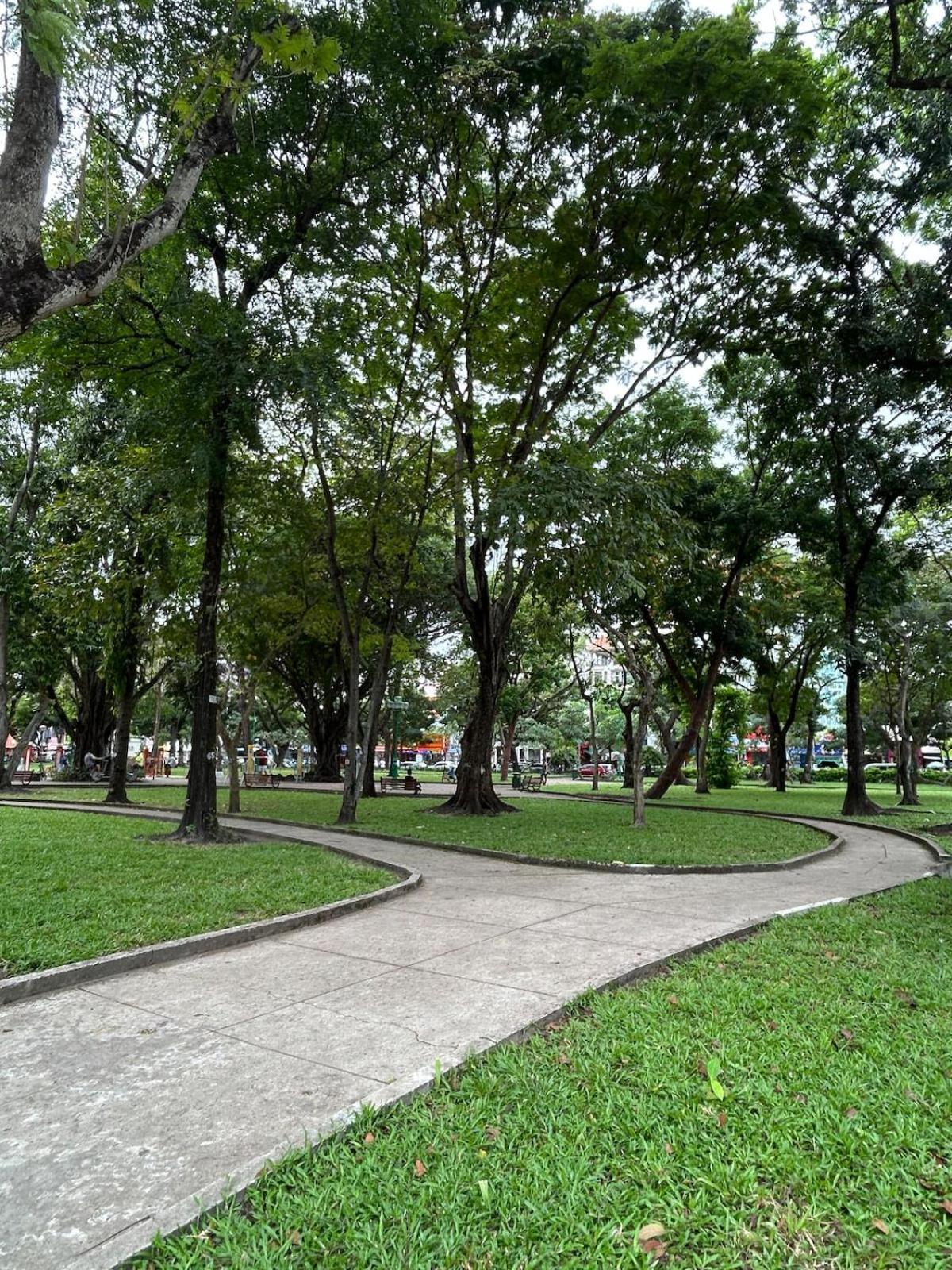 Apartment Brand New House In District 1 Cozy And Modern Ho Chi Minh City